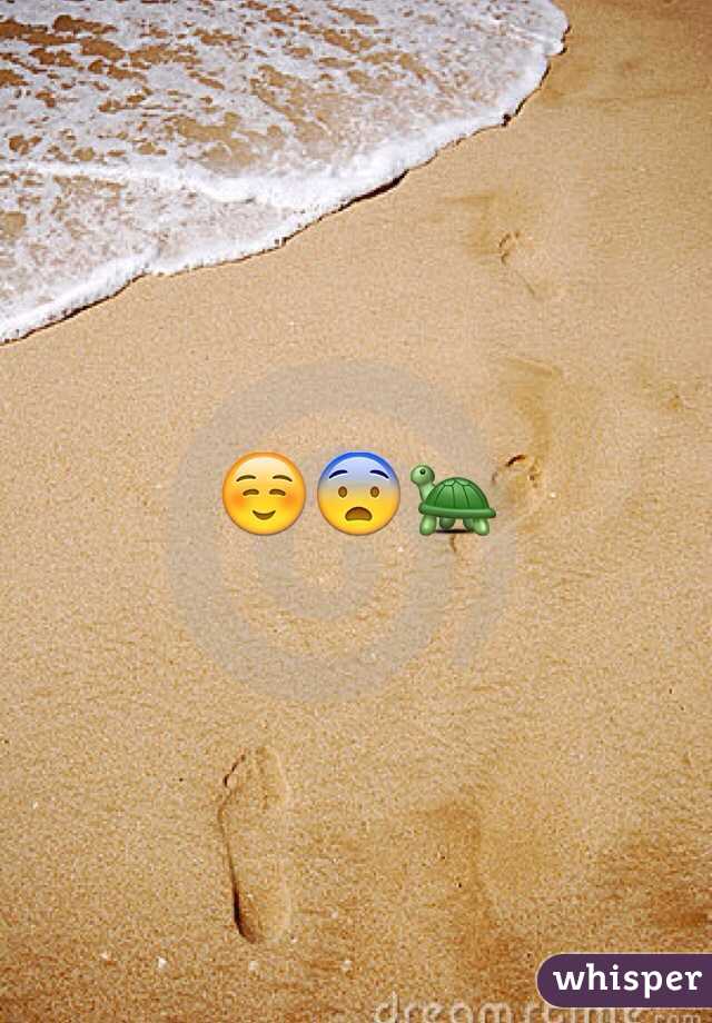 ☺️😨🐢