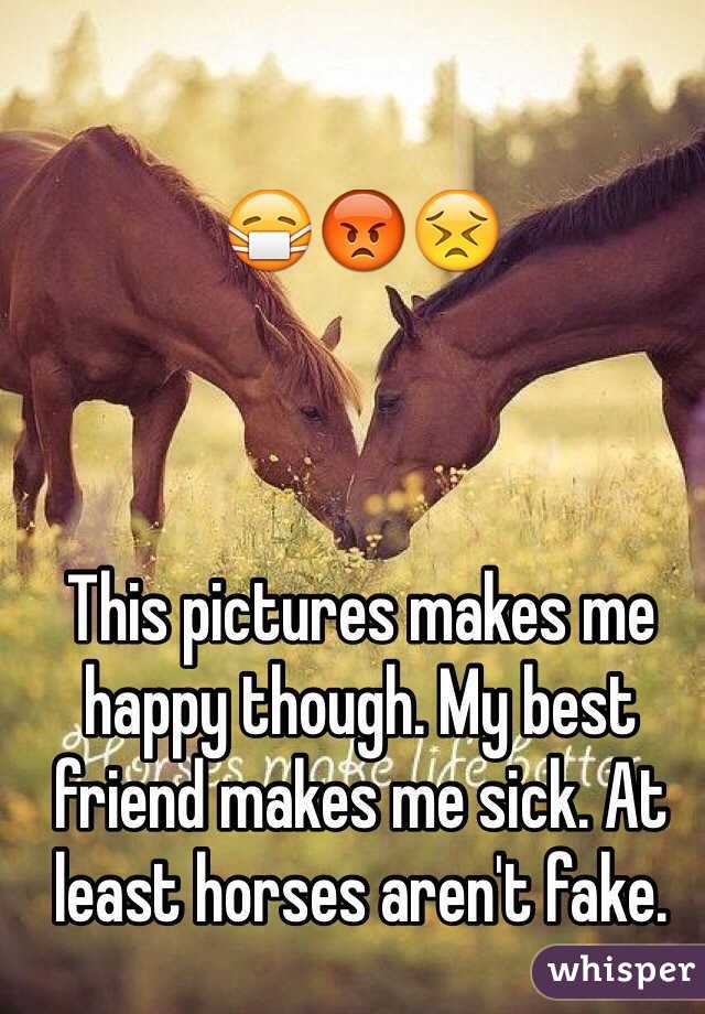 😷😡😣



This pictures makes me happy though. My best friend makes me sick. At least horses aren't fake. 