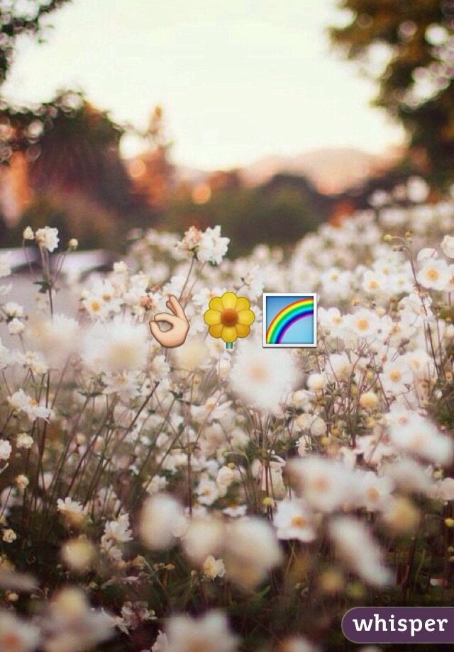 👌🌼🌈