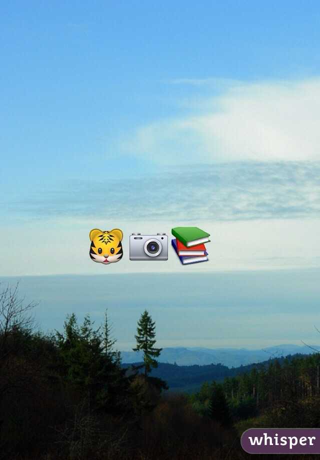 🐯📷📚