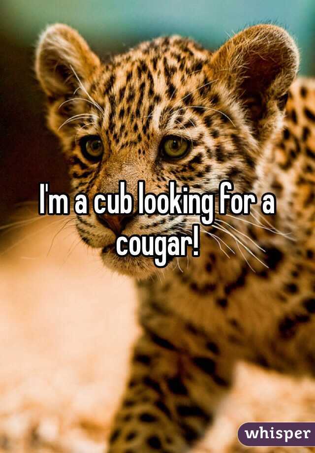 I'm a cub looking for a cougar! 