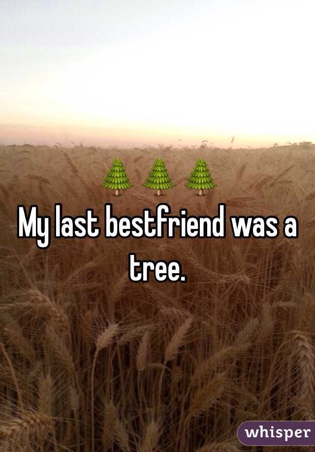 🌲🌲🌲 
My last bestfriend was a tree. 