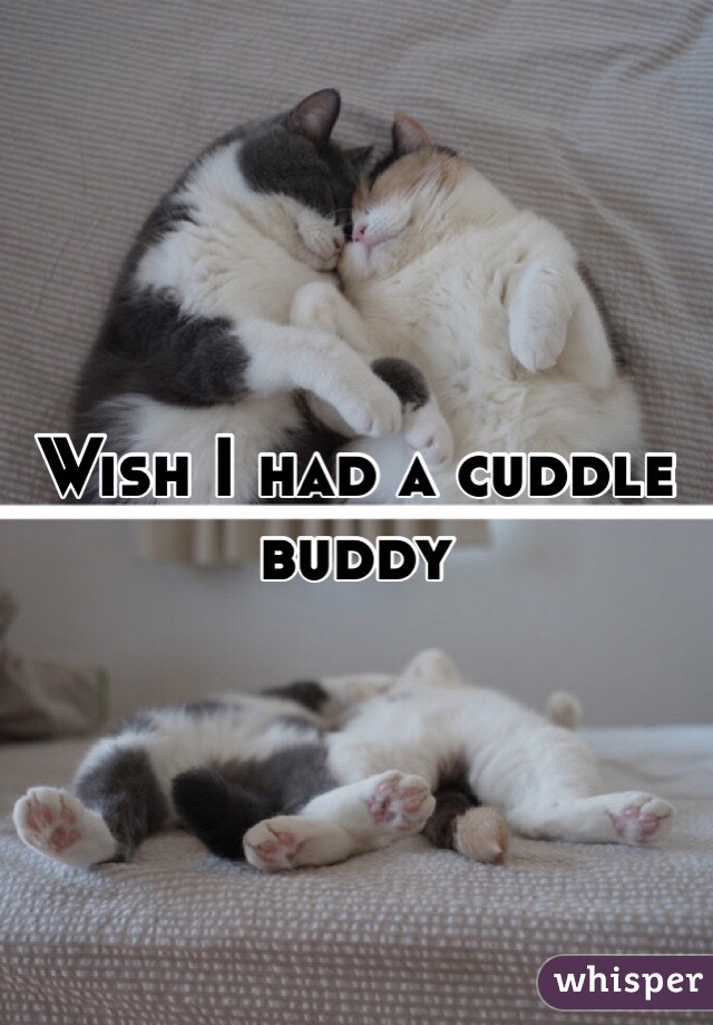 Wish I had a cuddle buddy 