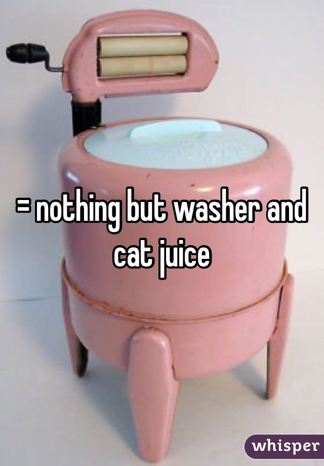 = nothing but washer and cat juice 