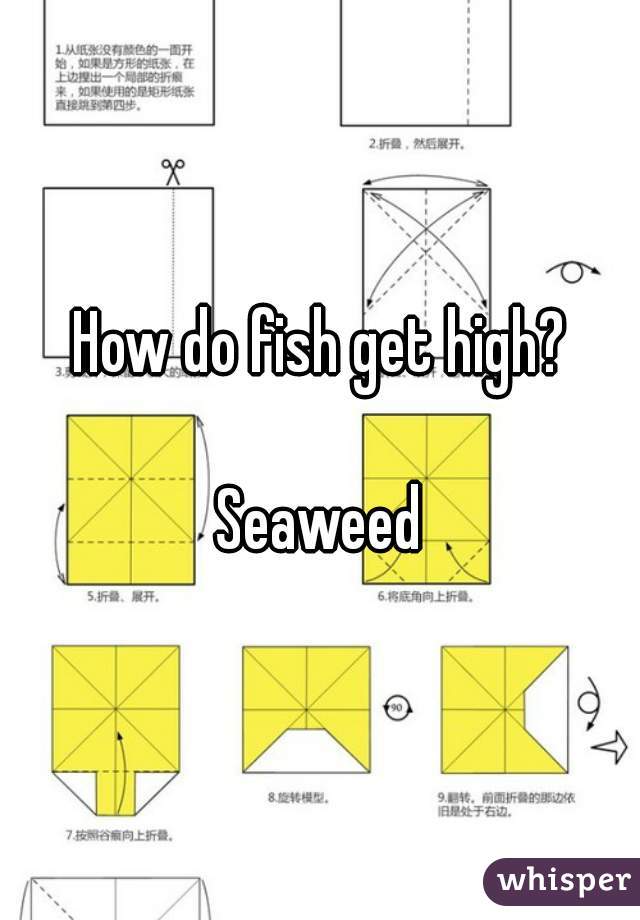 How do fish get high?

Seaweed