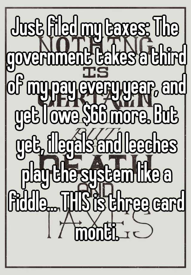 just-filed-my-taxes-the-government-takes-a-third-of-my-pay-every-year