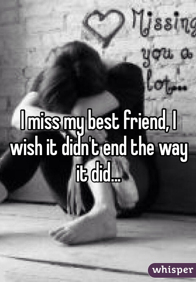 I miss my best friend, I wish it didn't end the way it did...