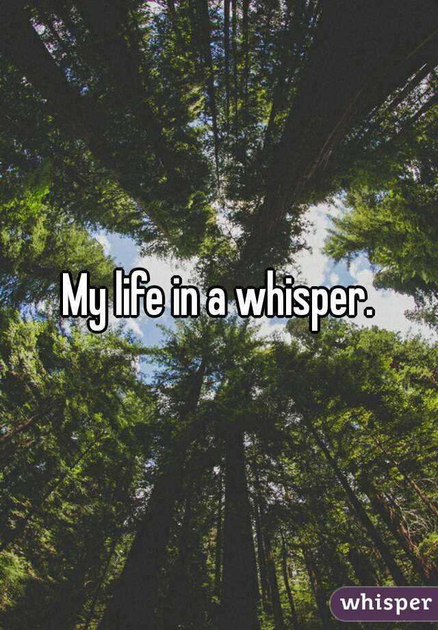 My life in a whisper.
