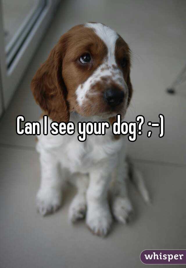 Can I see your dog? ;-) 
