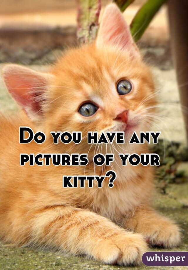 Do you have any 
pictures of your kitty?