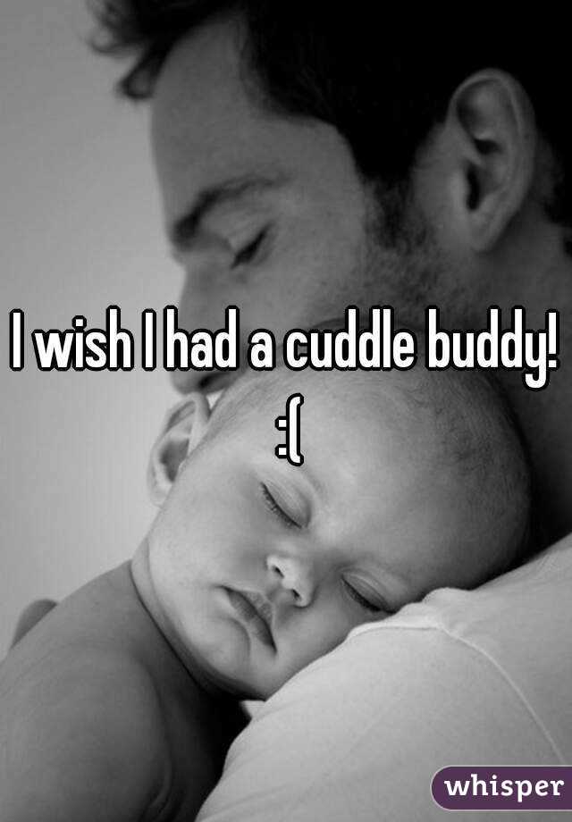I wish I had a cuddle buddy! :(
