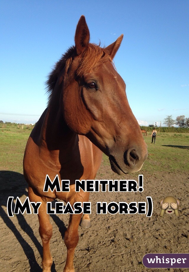 Me neither!
(My lease horse) 🙈