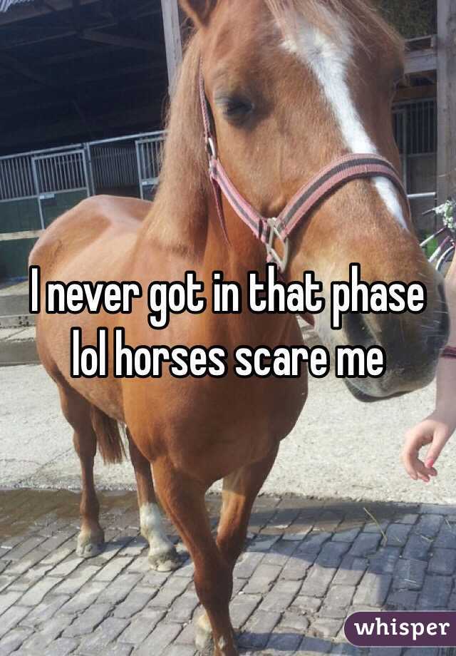 I never got in that phase lol horses scare me