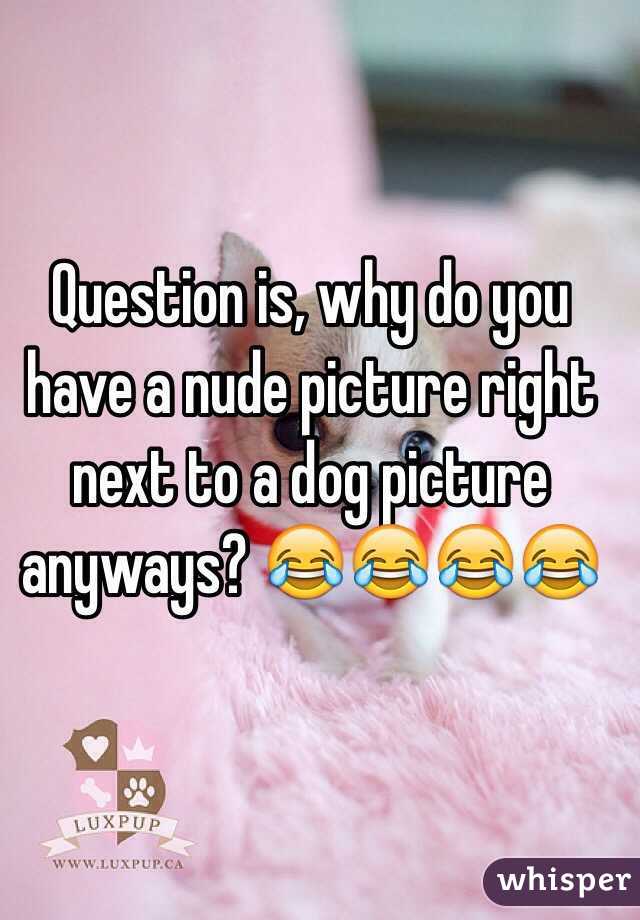 Question is, why do you have a nude picture right next to a dog picture anyways? 😂😂😂😂