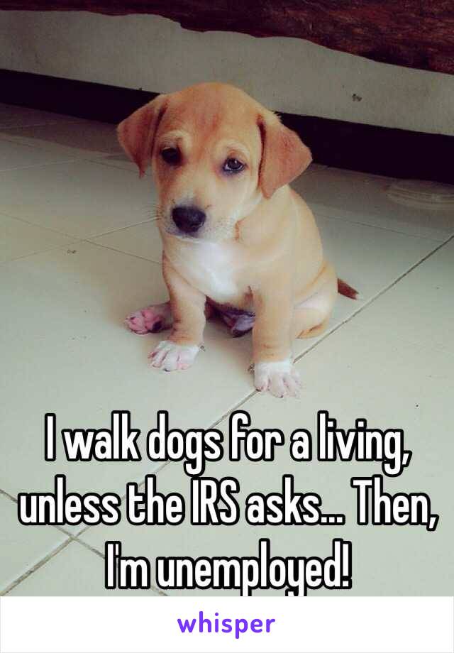 I walk dogs for a living, unless the IRS asks… Then, I'm unemployed!