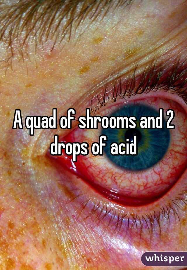 A quad of shrooms and 2 drops of acid