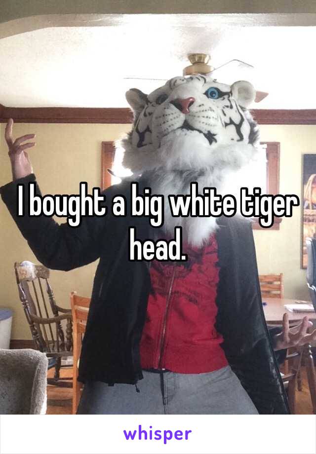 I bought a big white tiger head.