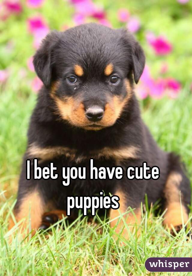 I bet you have cute puppies 