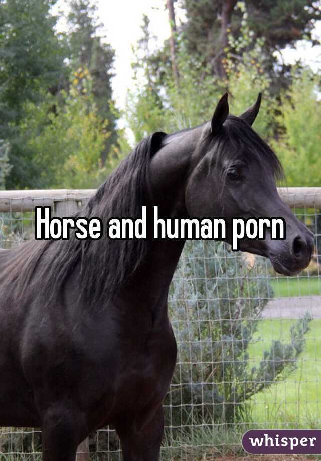 Horse and human porn