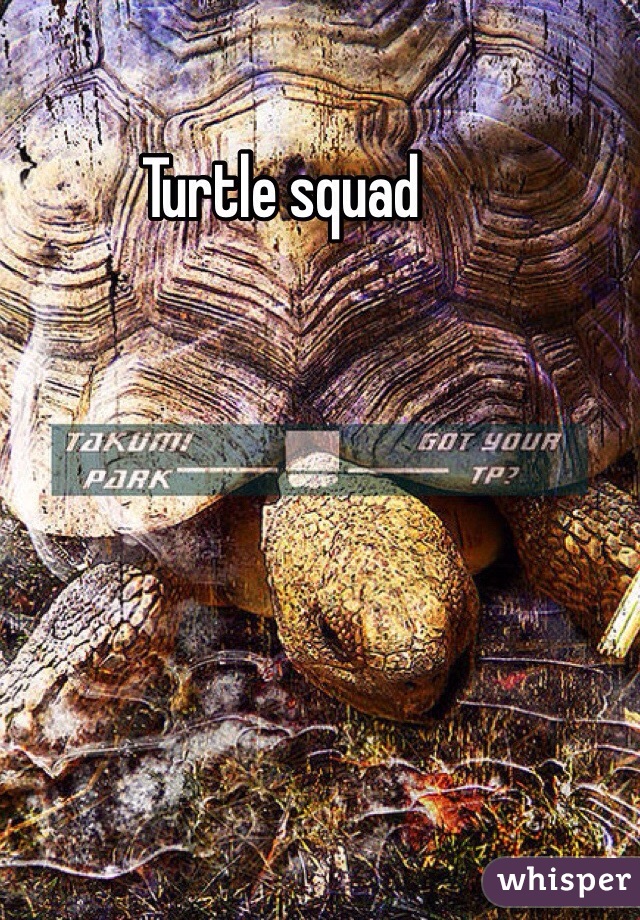 Turtle squad