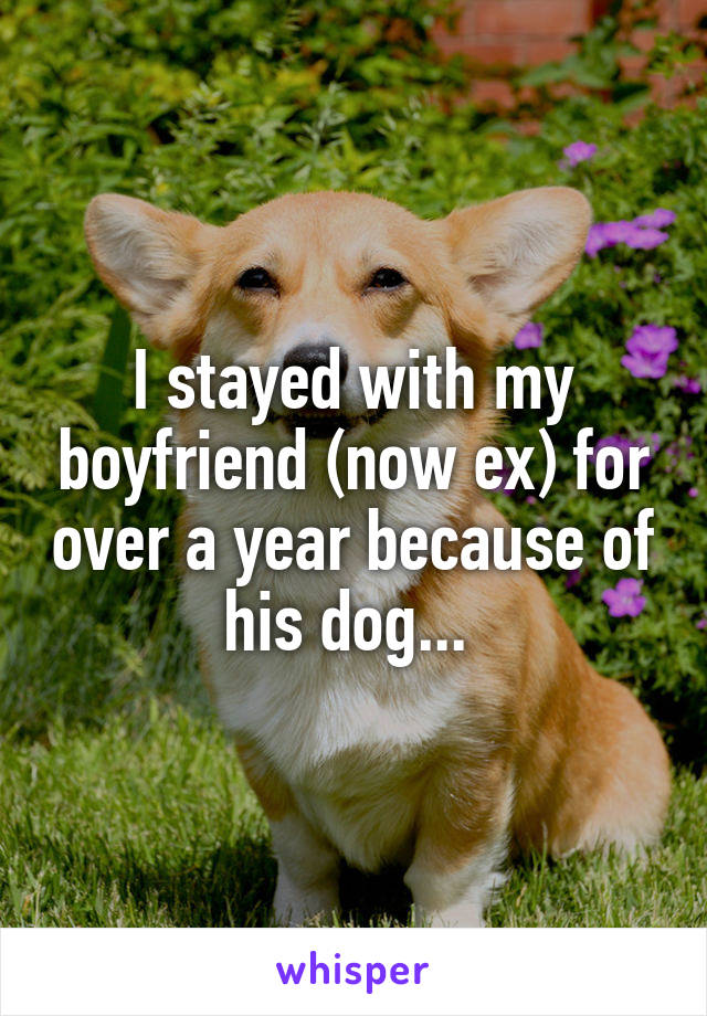 I stayed with my boyfriend (now ex) for over a year because of his dog... 