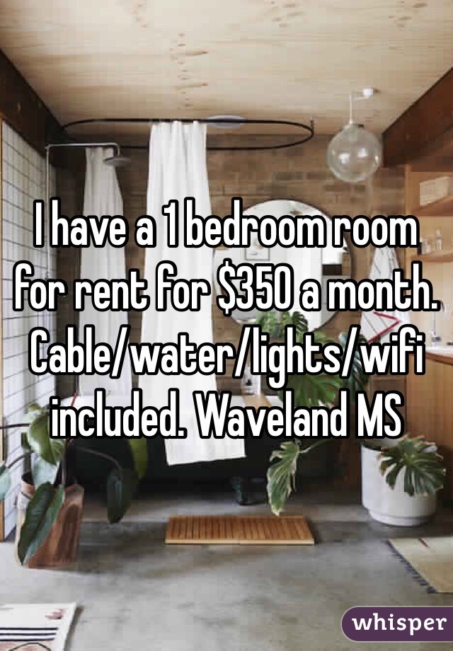 I have a 1 bedroom room for rent for $350 a month. Cable/water/lights/wifi included. Waveland MS
