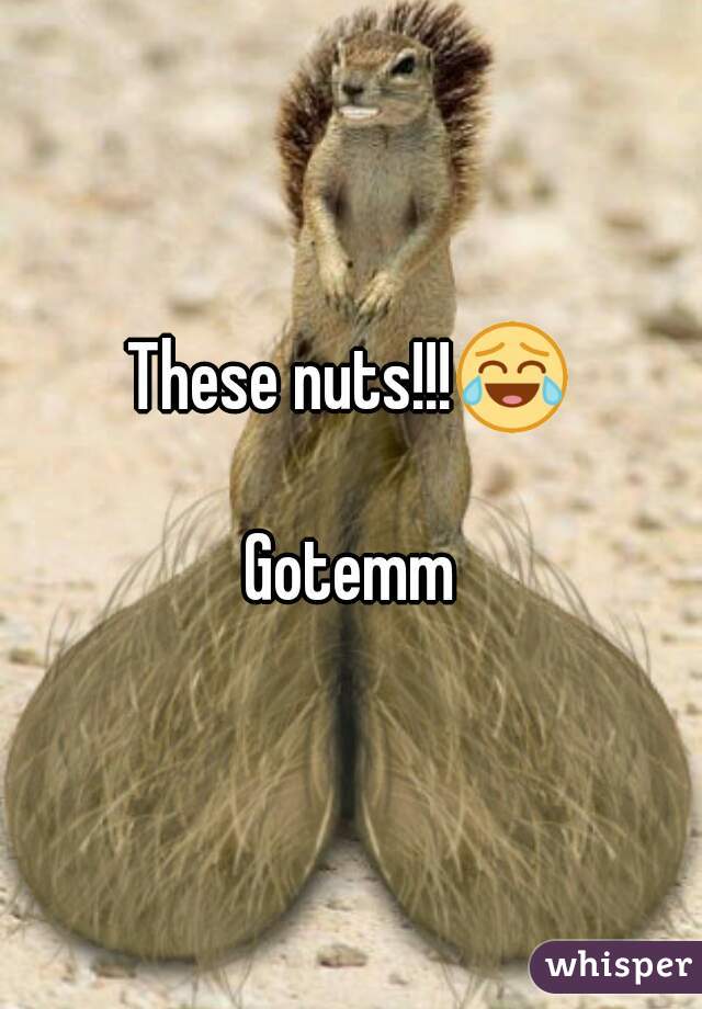 These nuts!!!😂

Gotemm