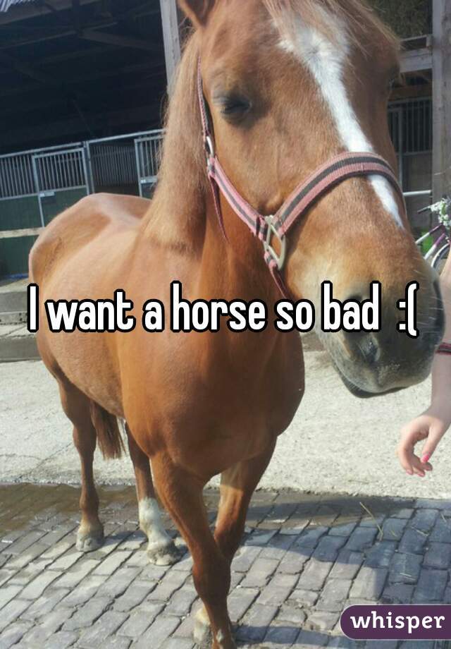 I want a horse so bad  :(