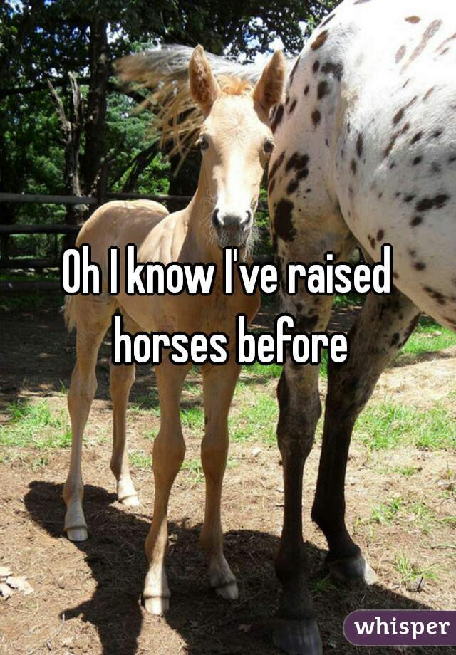 Oh I know I've raised horses before