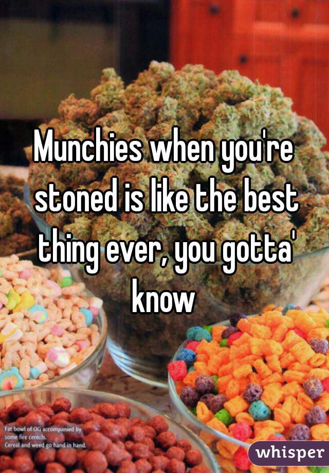 Munchies when you're stoned is like the best thing ever, you gotta' know 