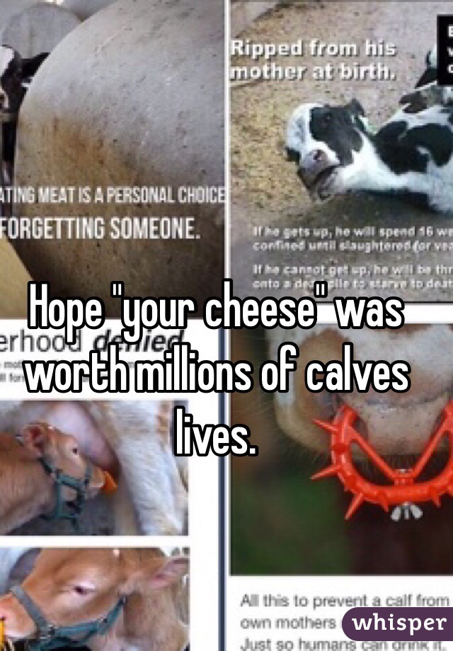 Hope "your cheese" was worth millions of calves lives. 