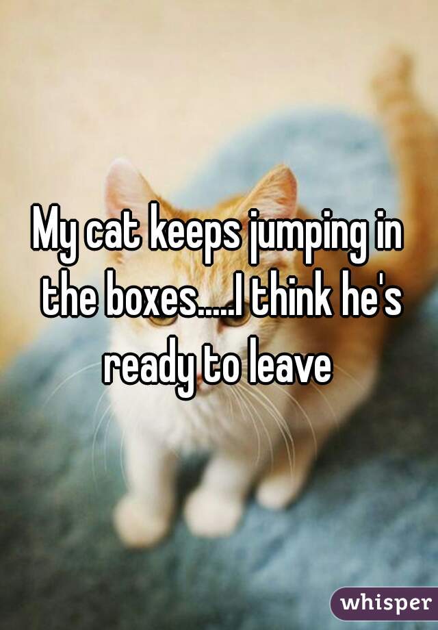 My cat keeps jumping in the boxes.....I think he's ready to leave 