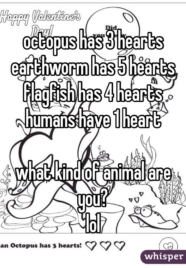 octopus has 3 hearts
earthworm has 5 hearts
flagfish has 4 hearts
humans have 1 heart

what kind of animal are you?
lol