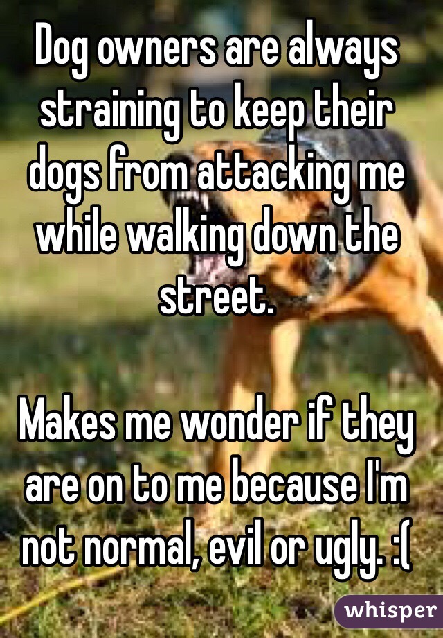 Dog owners are always straining to keep their dogs from attacking me while walking down the street.

Makes me wonder if they are on to me because I'm not normal, evil or ugly. :(