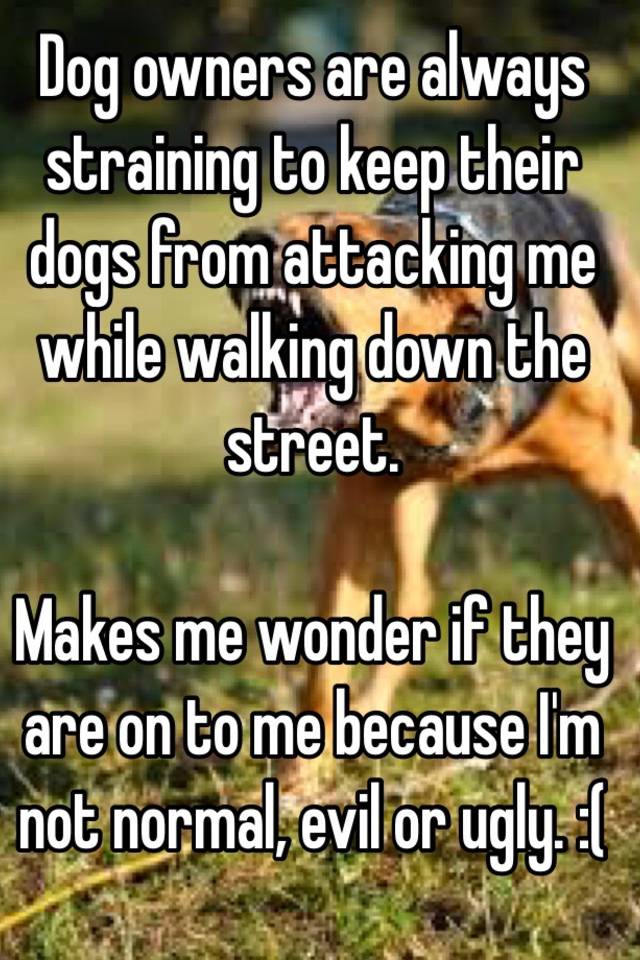 Dog owners are always straining to keep their dogs from attacking me while walking down the street.

Makes me wonder if they are on to me because I'm not normal, evil or ugly. :(