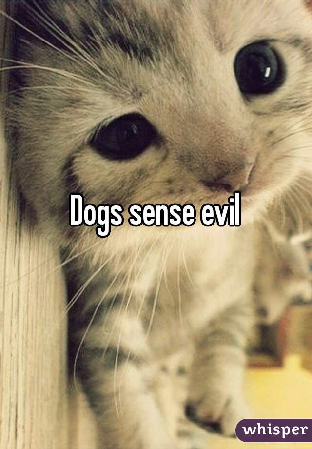 Dogs sense evil