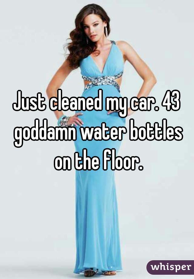 Just cleaned my car. 43 goddamn water bottles on the floor.