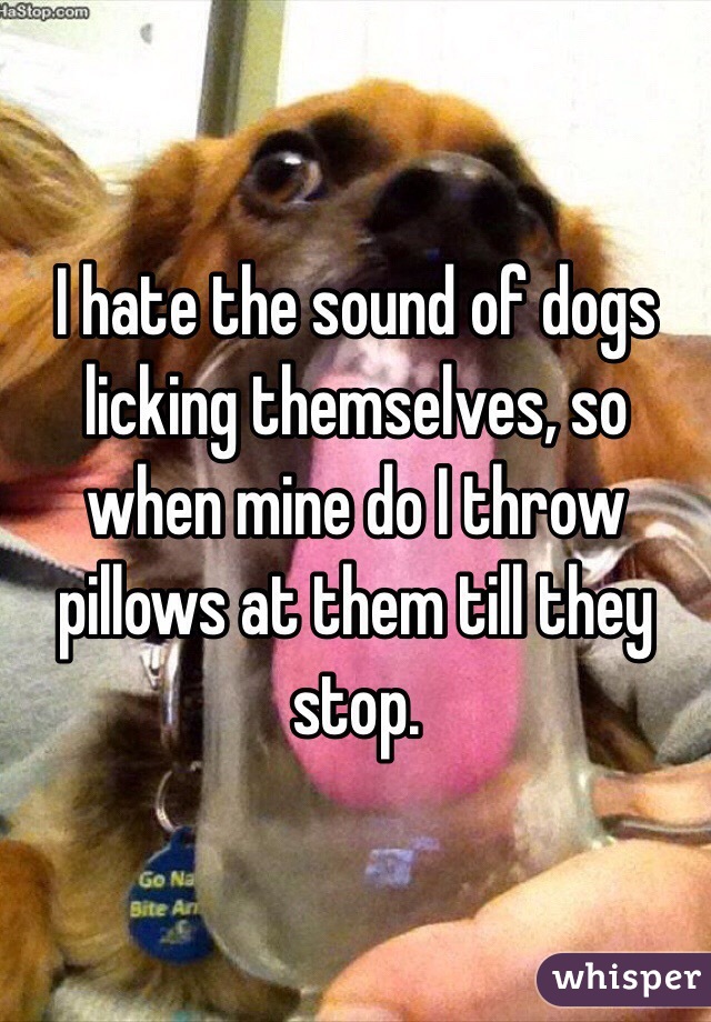 I hate the sound of dogs licking themselves, so when mine do I throw pillows at them till they stop. 