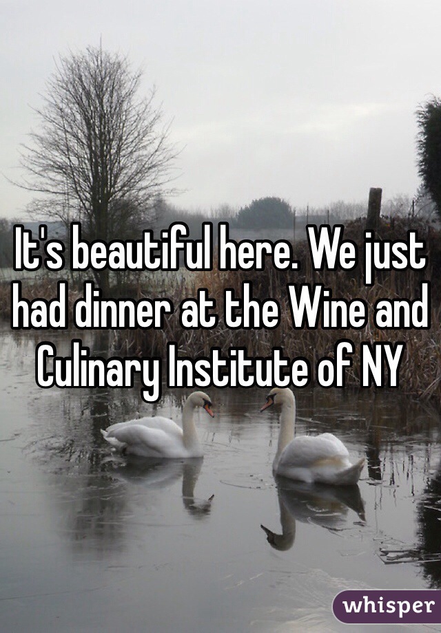 It's beautiful here. We just had dinner at the Wine and Culinary Institute of NY 