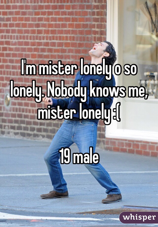 I'm mister lonely o so lonely. Nobody knows me, mister lonely :( 

19 male 