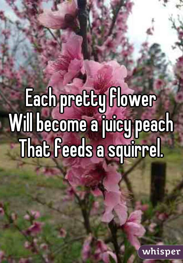 Each pretty flower
Will become a juicy peach
That feeds a squirrel.