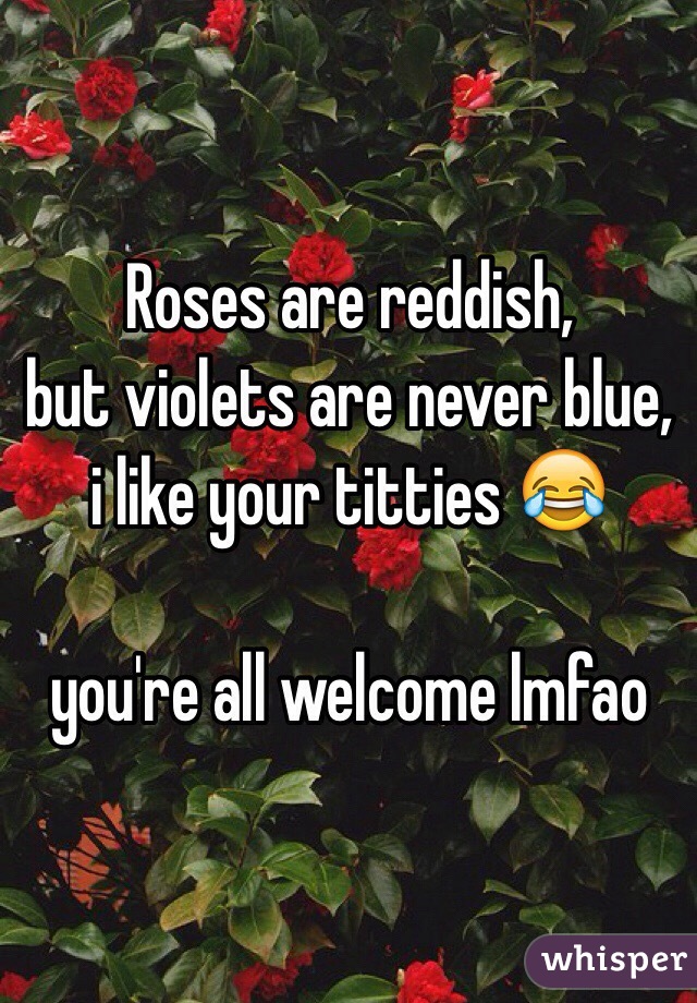 Roses are reddish, 
but violets are never blue,
i like your titties 😂 

you're all welcome lmfao
