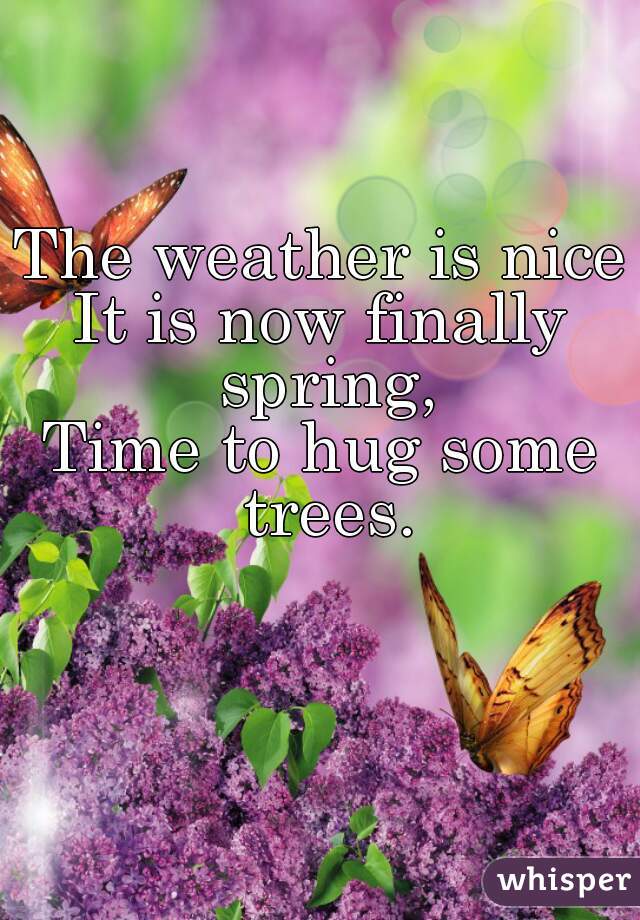 The weather is nice
It is now finally spring,
Time to hug some trees.