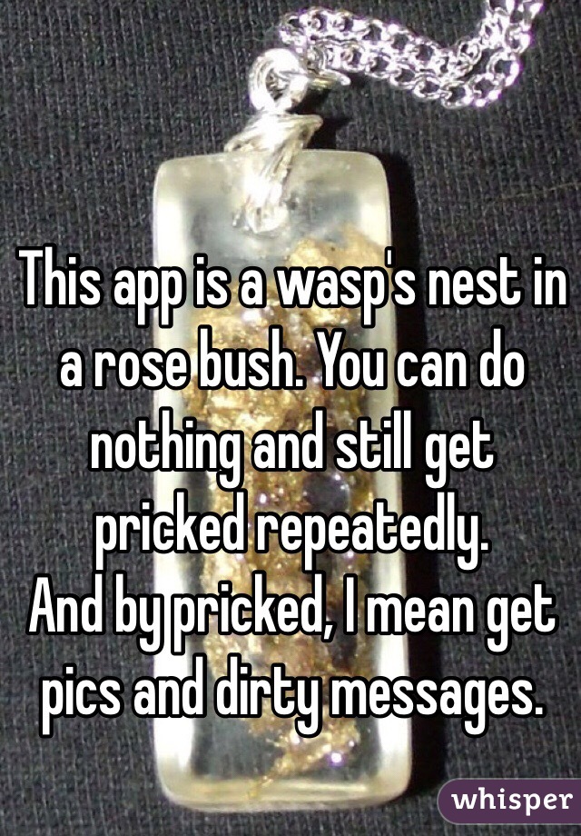 This app is a wasp's nest in a rose bush. You can do nothing and still get pricked repeatedly.
And by pricked, I mean get pics and dirty messages.