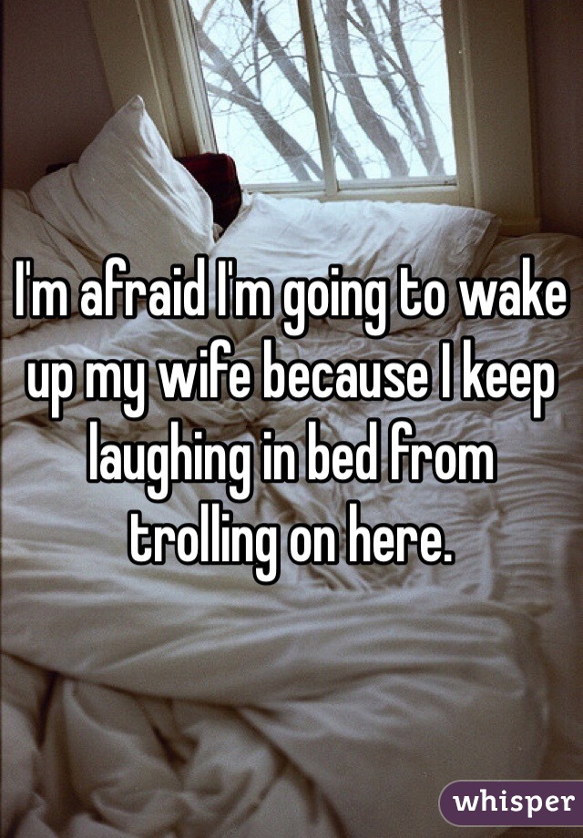 I'm afraid I'm going to wake up my wife because I keep laughing in bed from trolling on here.