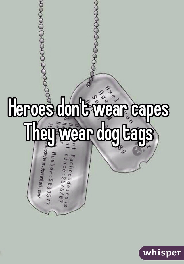 Heroes don't wear capes
They wear dog tags 