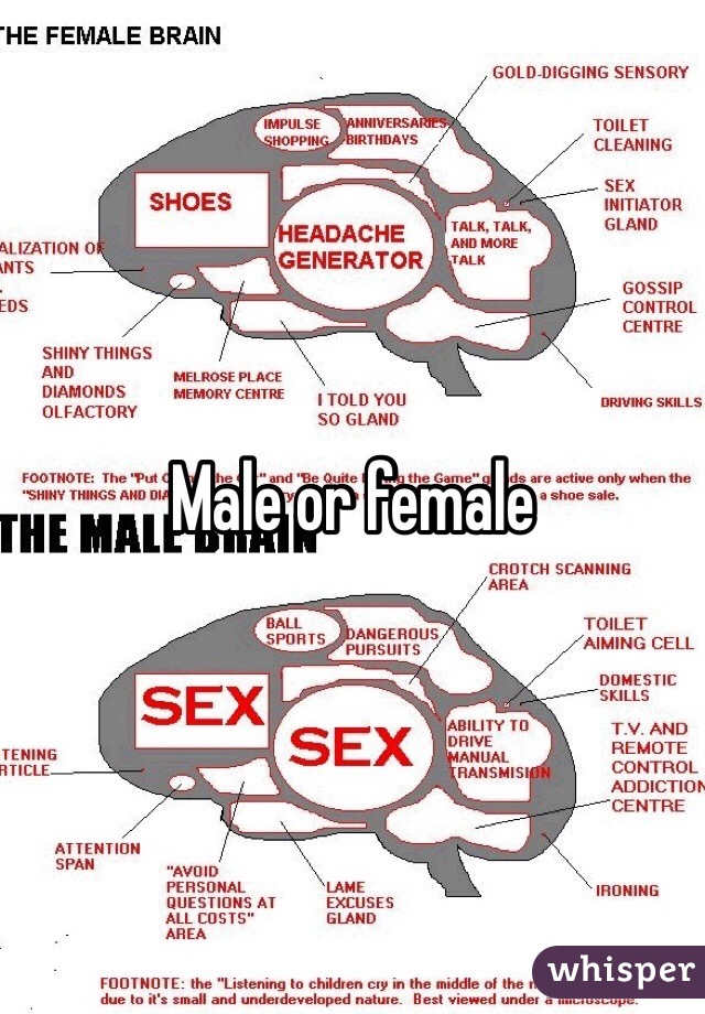Male or female 