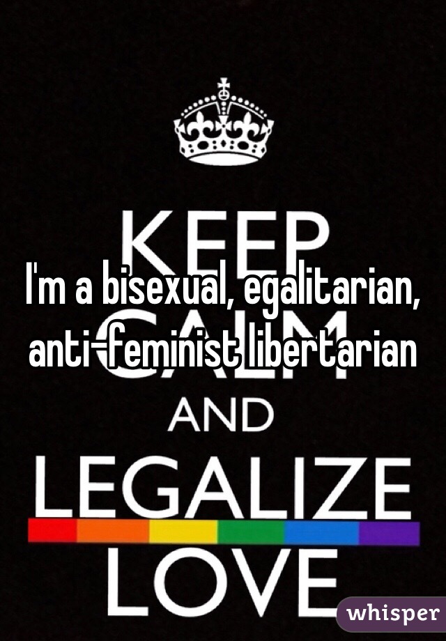 I'm a bisexual, egalitarian, anti-feminist libertarian