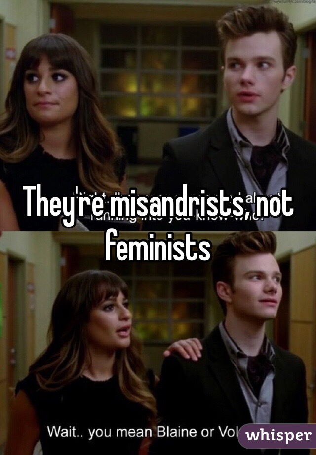They're misandrists, not feminists