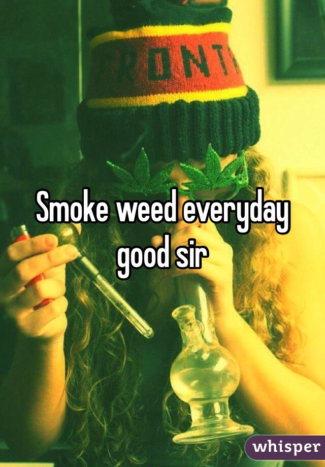 Smoke weed everyday good sir